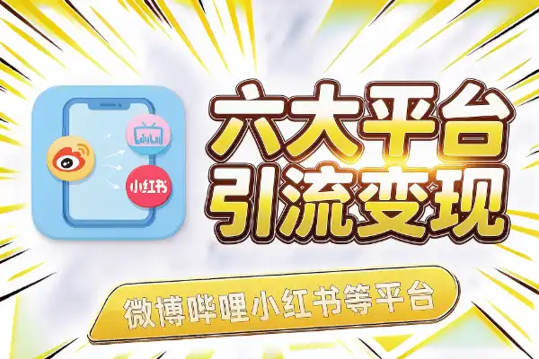 六大平台引流变现思路